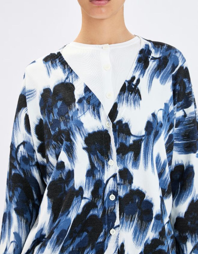 captura de pantalla 2026 01 06 133715